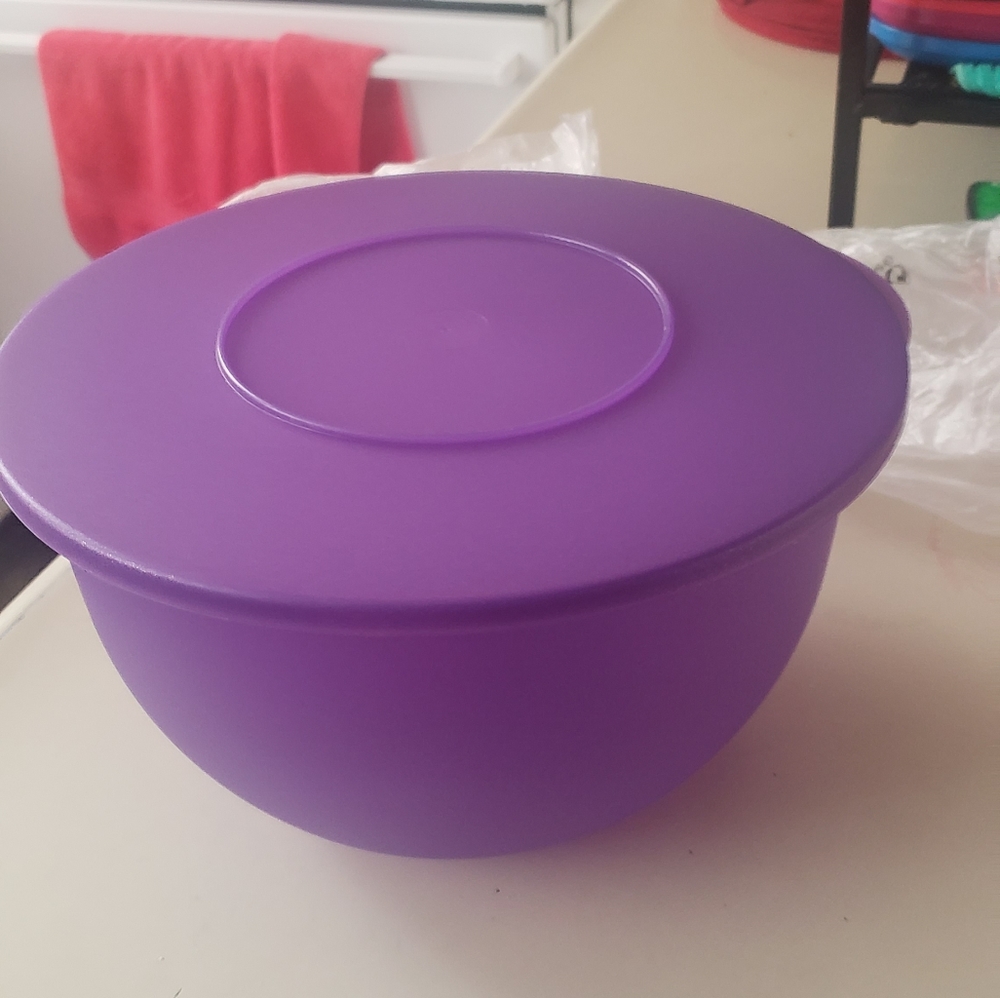 Tupperware - Picture 4 of 16